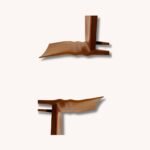Stuhlset von Sawaya & Moroni Diva Nussbaum Mid century