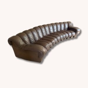 DeSede DS 600 Snake Sectional Sofa