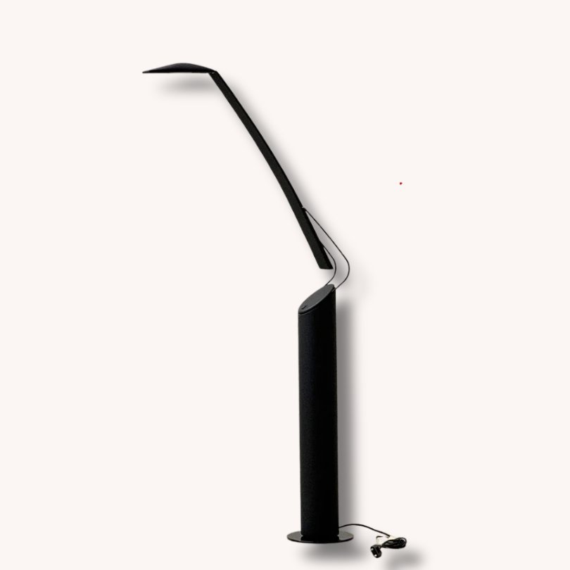 Stehleuchte Dove von Mario Barbaglia & Marco Colombo für von Pal, Italien, 1980er Jahre